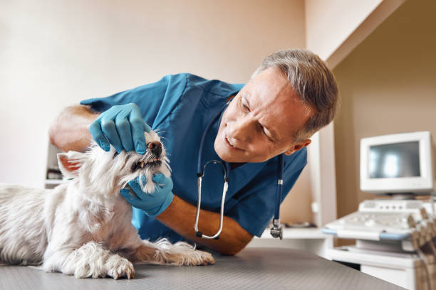 Best Emergency Dentist Near Me  in Heritage Lake, IN