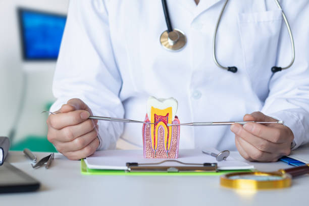 Best Broken Tooth Emergency  in Heritage Lake, IN